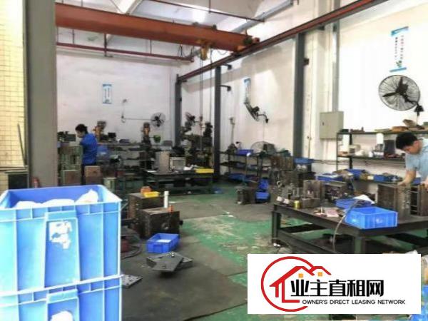  横沥原房东的带全部装修工业厂房3150平宿舍981平出租