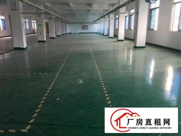 出租横沥镇东兴工业区260平方厂房，精装修水电齐全