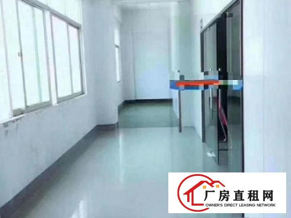  出租横沥山厦发展工业区220平精装小厂房价格优惠，可注册！