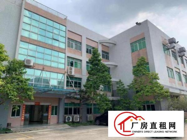  横沥镇新出原房东独门独院国有证厂房