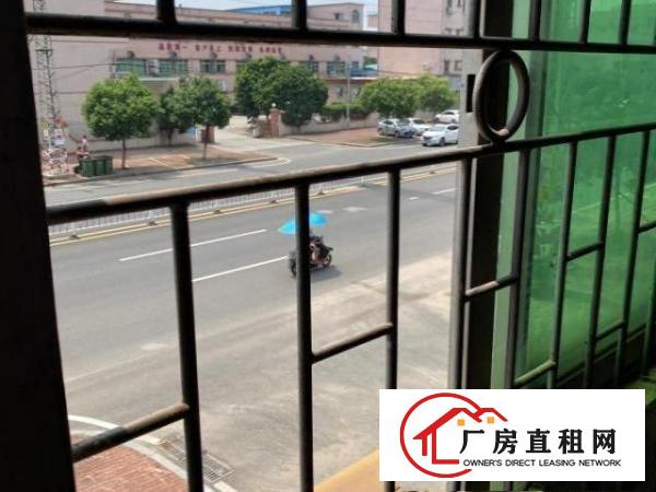  私人楼、大马路边、一栋四层、二三楼招租