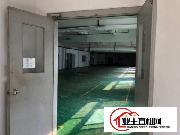  出租横沥横沥城区厂房