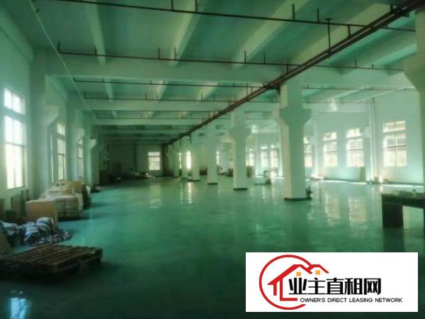  横沥镇西城工业区新出原房东标独门独院1000平方厂房出租