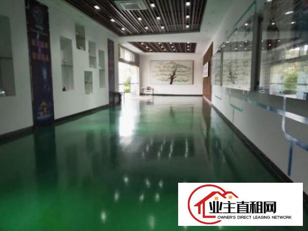  横沥镇西城工业区新出原房东标独门独院1000平方厂房出租