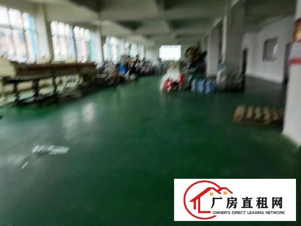  横沥镇三江工业区原房东一楼1300平方6米厂房出租