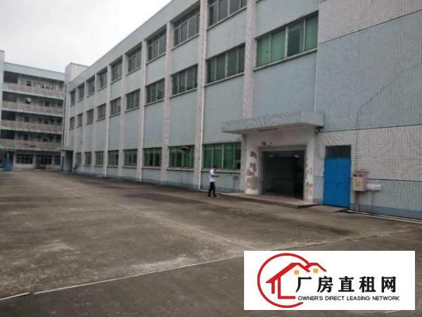  横沥镇三江工业区原房东一楼1300平方6米厂房出租