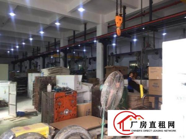  横沥原房东标准独院带现成装修形象非常