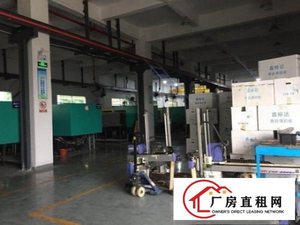  横沥原房东标准独院带现成装修形象非常