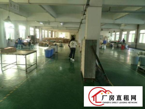  横沥原房东标准独院带现成装修形象非常