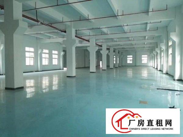  新出现成无尘车间独门独院国有证厂房出租