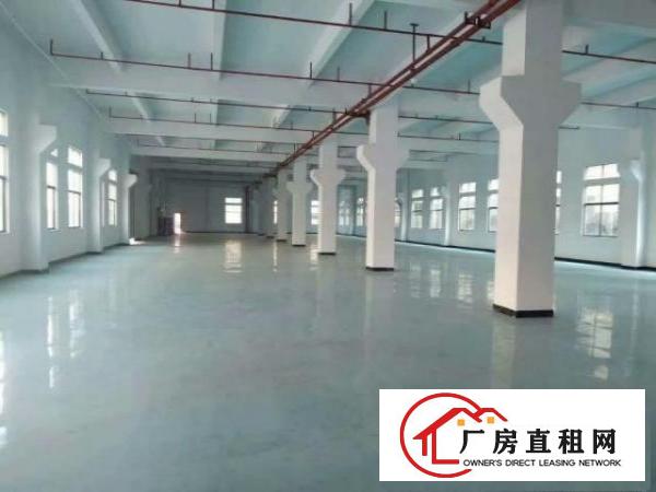  新出现成无尘车间独门独院国有证厂房出租