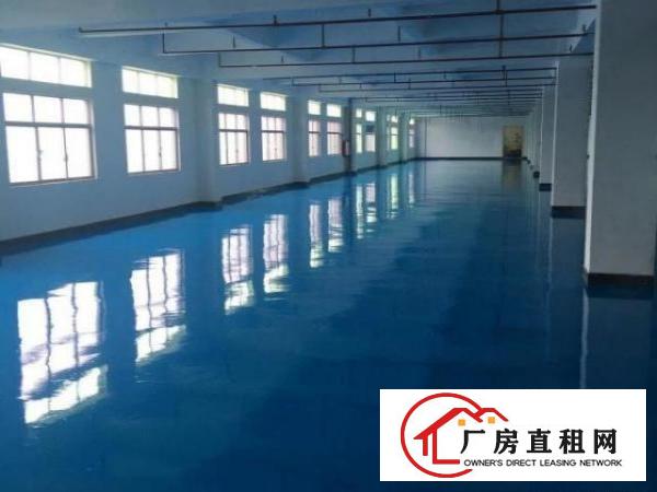  横沥镇原房东出租三江工业区独门独院三层厂房有VOC排放指标
