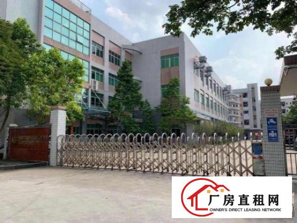  横沥镇西城工业区原房东出租独门独院三层厂房