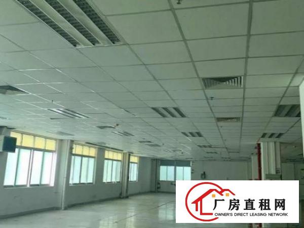  横沥镇西城工业区原房东出租独门独院三层厂房