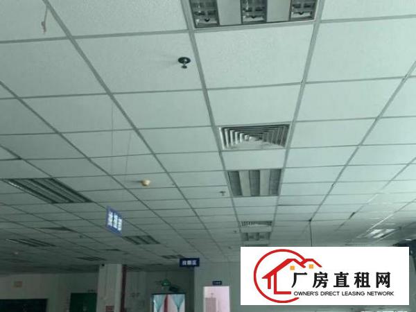 横沥镇西城工业区原房东出租独门独院三层厂房