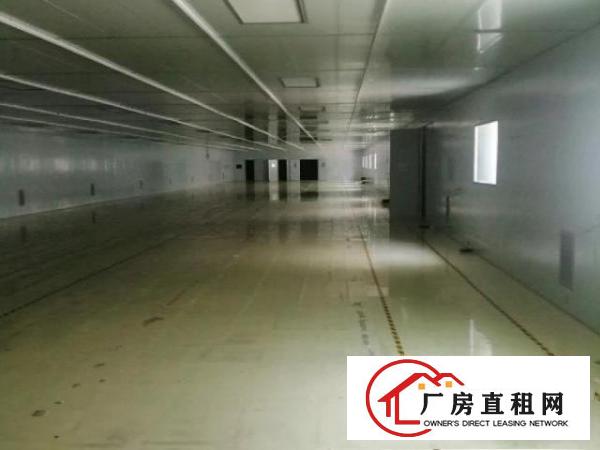  交通方便，装修豪华，现成办公室