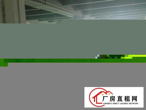  地坪漆，精装修，交通方便，水电消防齐全