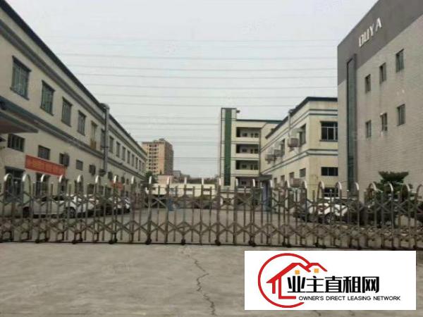  横沥镇厂房出租厂房分租楼上厂房原房东独院标准厂房可办环评