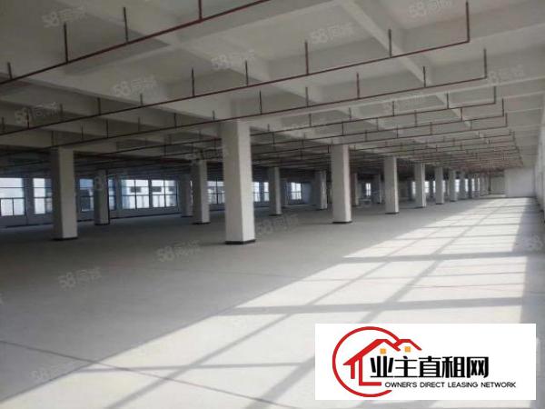  横沥镇厂房出租厂房分租楼上厂房原房东独院标准厂房可办环评