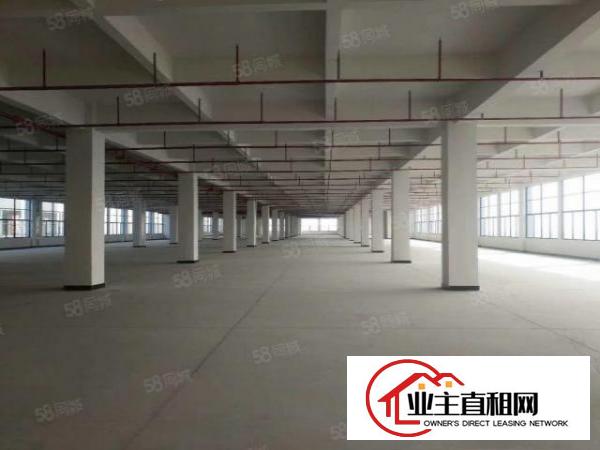  横沥镇厂房出租厂房分租楼上厂房原房东独院标准厂房可办环评