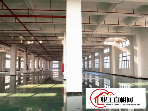  横沥镇厂房出租厂房分租楼上厂房原房东独院标准厂房可办环评