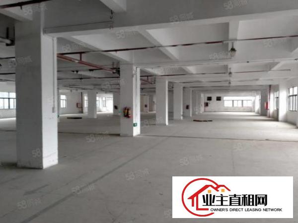  横沥镇高大上厂房，管理，配套服务，8元平方起，易招工