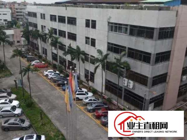  横沥镇高大上厂房，管理，配套服务，8元平方起，易招工