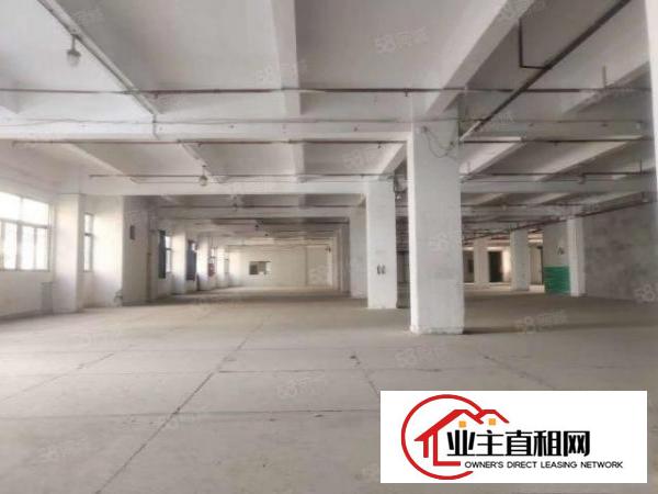  横沥镇高大上厂房，管理，配套服务，8元平方起，易招工