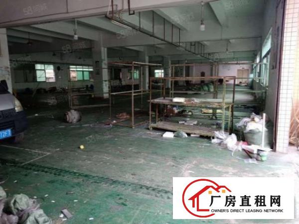  横沥镇原房东独院13层5000平招租，空地大，形象好