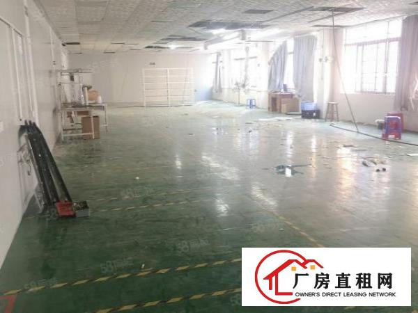  横沥神山工业区新出楼上500平方整层全新厂房出租，无基本电费