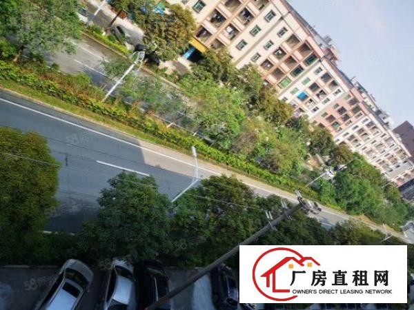  横沥神山工业区新出楼上500平方整层全新厂房出租，无基本电费