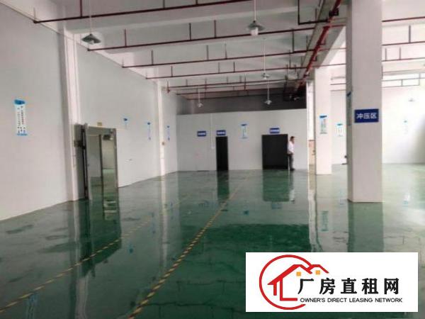  新出横沥标准一楼800方带豪华办公室全新地坪漆消防喷淋，拎包