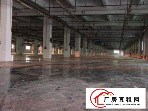  横沥三江工业区旁独院标准厂房，工业用地，价格便宜