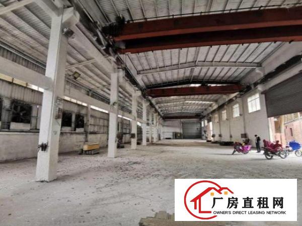  横沥工业区一楼钢构2000方，大小可分，滴水13米，砖墙到顶