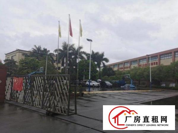  横沥工业区一楼钢构2000方，大小可分，滴水13米，砖墙到顶