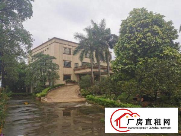  横沥工业区一楼钢构2000方，大小可分，滴水13米，砖墙到顶