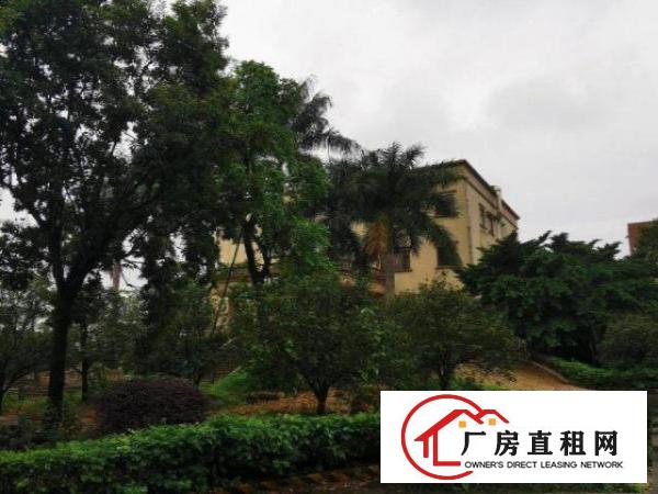  横沥工业区一楼钢构2000方，大小可分，滴水13米，砖墙到顶