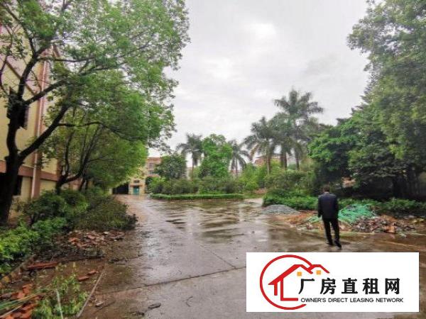  横沥工业区一楼钢构2000方，大小可分，滴水13米，砖墙到顶