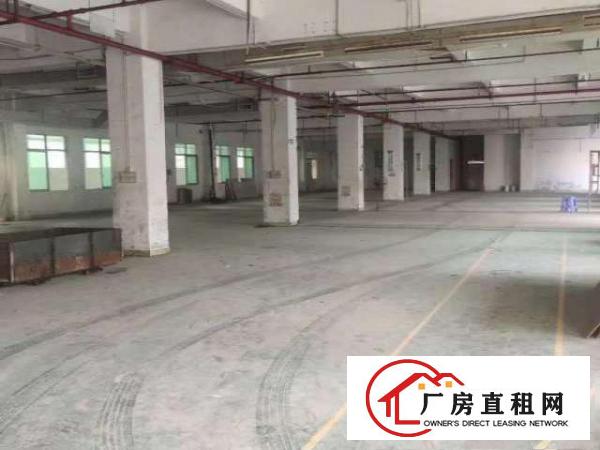  横沥镇原房东新出独门独院厂房招租已办环评