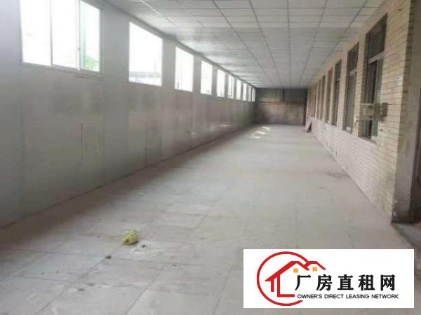  横沥镇原房东新出独门独院厂房招租已办环评