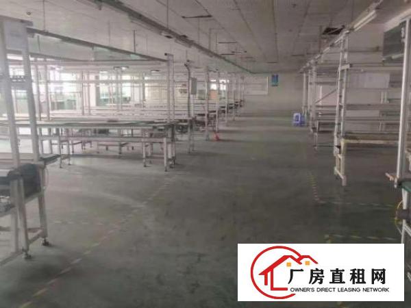  横沥镇原房东新出独门独院厂房招租已办环评