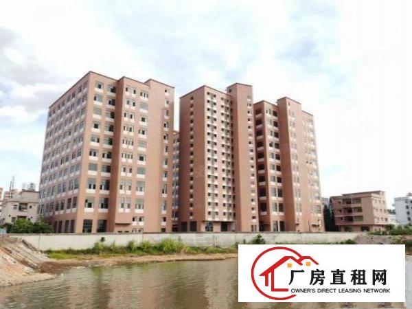  横沥新出特价房一楼800平方