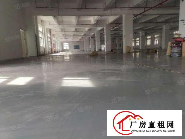  横沥新出特价房一楼800平方