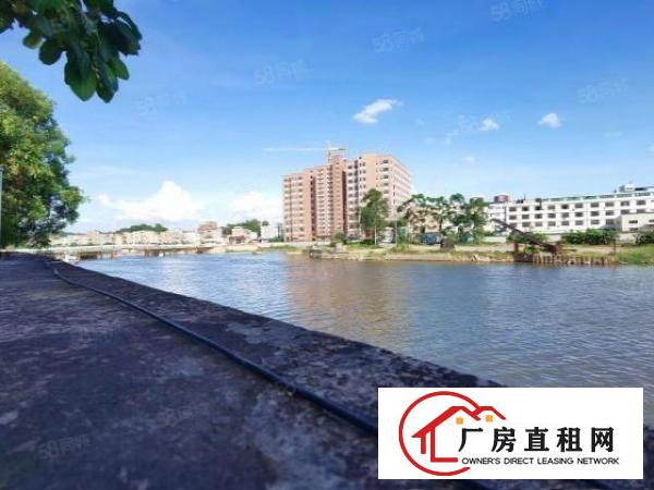  横沥新出特价房一楼800平方