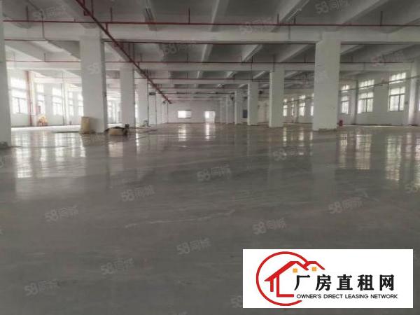  横沥新出特价房一楼800平方