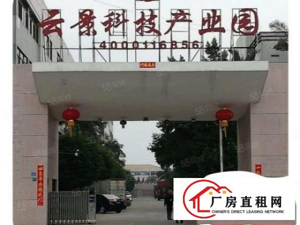  横沥镇高大上厂房，管理，配套服务，8元平方起，易招工