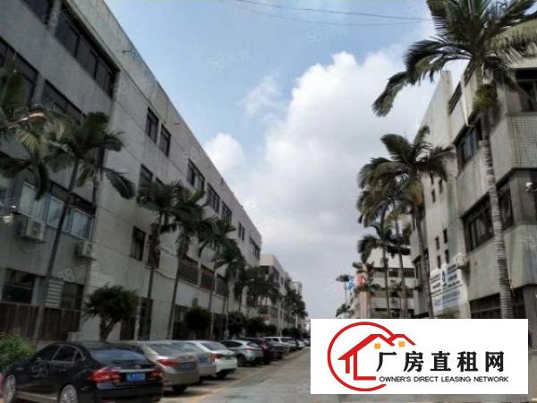  横沥镇高大上厂房，管理，配套服务，8元平方起，易招工