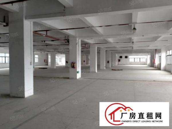  横沥镇高大上厂房，管理，配套服务，8元平方起，易招工