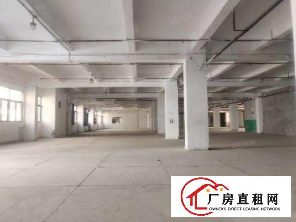  横沥镇高大上厂房，管理，配套服务，8元平方起，易招工