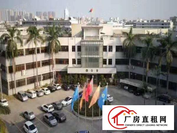  横沥镇高大上厂房，管理，配套服务，8元平方起，易招工